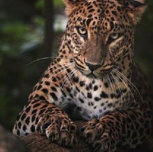 Meet your Posher, Janet - Picture 10 of 12